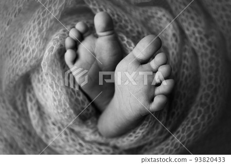 Soft feet of a newborn in a woolen blanket Close-up of toes, heels and feet of a baby.The tiny foot of a newborn. Baby feet covered with isolated background. Black and white studio macro photography 93820433
