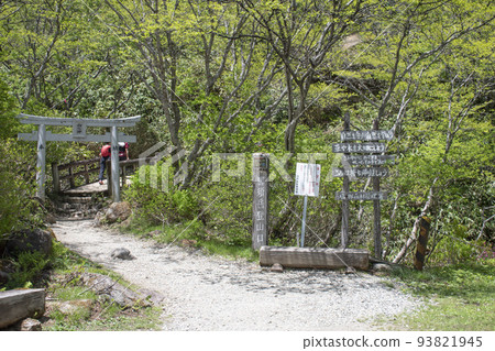 在適合登山的最佳天氣下，在茶臼山的山路上欣賞壯觀的景色 93821945