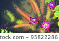 Mysterious unibus flower that blooms in the water Dengoro Mysterious unibus flower that blooms in the water Dengoro 93822286