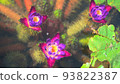 Mysterious unibus flowers blooming in the water Mysterious unibus flowers blooming in the water 93822387