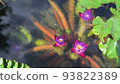 Mysterious unibus flowers blooming in the water Mysterious unibus flowers blooming in the water 93822389