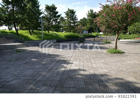 海洋公園，金澤區，橫濱市，海灘，挖蛤蜊，左邊八景島，右邊野島，人工沙灘，松林，2020年8月 93822391