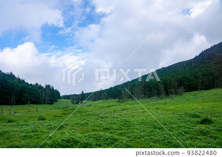 North Yatsugatake landscape (near Ameike Pass) 93822480