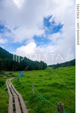 North Yatsugatake landscape (near Ameike Pass) 93822481