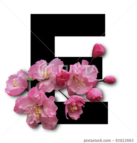 帶花的裝飾字母、帶花的裝飾字母、帶羅馬字母的裝飾字母、帶大寫字母的裝飾字母、帶英文字母的花卉字母 93822663