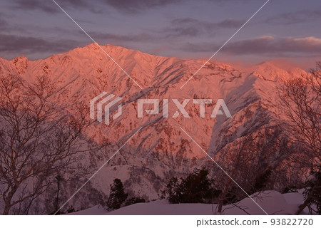 在 Morgenroth 染色的唐松山 在 Morgenroth 染色的唐松山 93822720