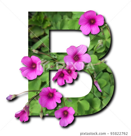 Vector floral letter, capital character R. Botanical monogram. Pink,  maroon, coral color flowers Stock Vector Image & Art - Alamy