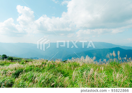 Shikoku Karst Susuki 93822866