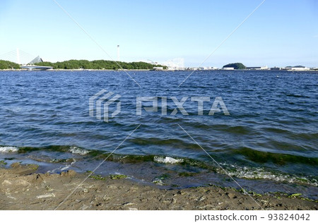 海洋公園，金澤區，橫濱市，海灘，挖蛤蜊，左邊八景島，右邊野島，人工沙灘，松林，2020年8月 93824042