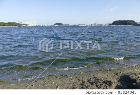 海洋公園,金澤區,橫濱市,海灘,挖蛤蜊,左邊八景島,右邊野島,人工沙灘,松林,2020年8月 海洋公園,金澤區,橫濱市,海灘,挖蛤蜊,左邊八景島,右邊野島,人工沙灘,松林,2020年8月 93824043
