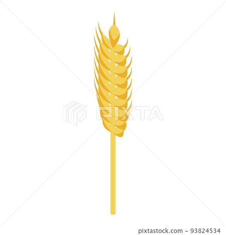 Wheat plant icon, isometric style Wheat plant icon, isometric style 93824534