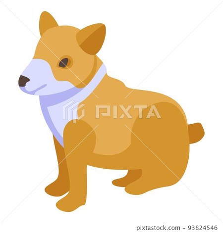 Canine corgi dog icon, isometric style Canine corgi dog icon, isometric style 93824546
