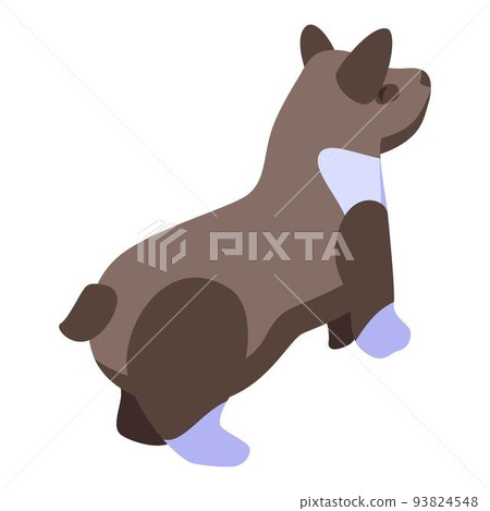 Brown corgi dog icon, isometric style Brown corgi dog icon, isometric style 93824548