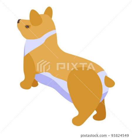 Pet corgi dog icon, isometric style Pet corgi dog icon, isometric style 93824549