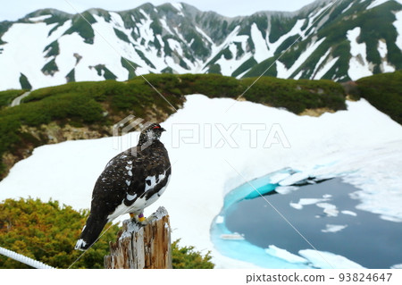 Tateyama Murododaira Raicho 93824647