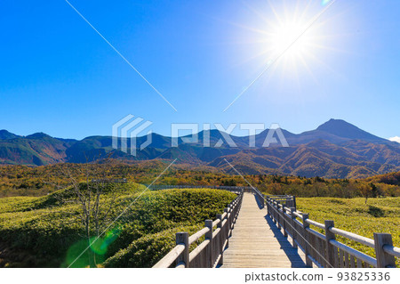 壯麗的知床山脈“秋天的北海道” 93825336