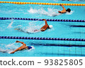 swimming butterfly 93825805