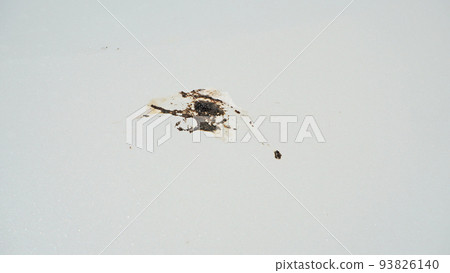 汽車引擎蓋上的干鳥糞 汽車引擎蓋上的干鳥糞 93826140