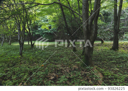 210928城山公園z007 210928城山公園z007 93826225