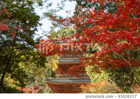 Hofukuji Temple in Autumn Hofukuji Temple in Autumn 93826557