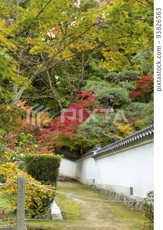Hofukuji Temple in Autumn 93826563