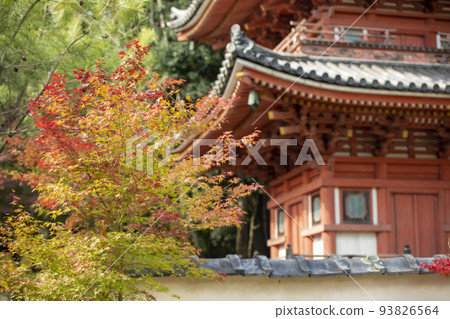 Autumn at Iyama Hofukuji Temple Autumn at Iyama Hofukuji Temple 93826564