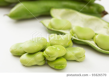 Broad Beans Broad Beans Broad Beans Silkworm Beans Broad Beans Broad Beans Broad Beans Broad Beans Silkworm Beans Broad Beans 93826570