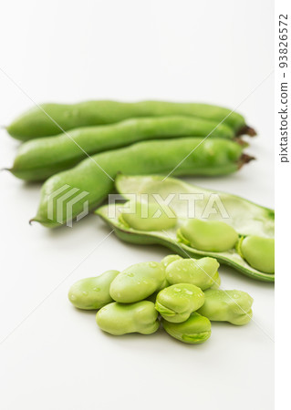 Broad Beans Broad Beans Broad Beans Silkworm Beans Broad Beans Broad Beans Broad Beans Broad Beans Silkworm Beans Broad Beans 93826572