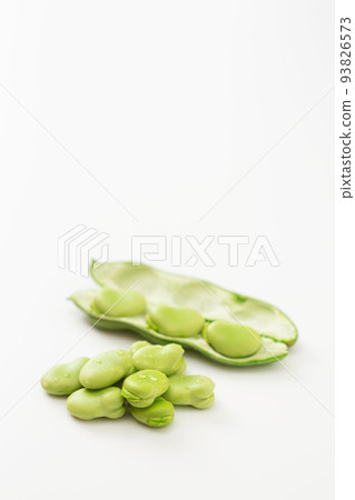 Broad Beans Broad Beans Broad Beans Silkworm Beans Broad Beans Broad Beans Broad Beans Broad Beans Silkworm Beans Broad Beans 93826573