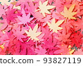 autumn leaves background 93827119