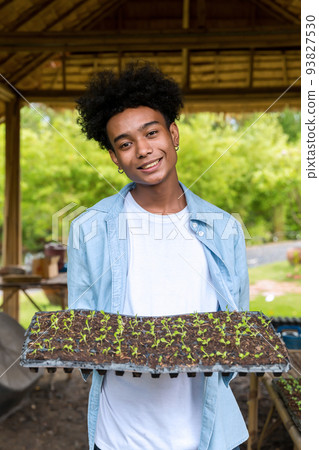 Man in the vegetable garden. Man planting seeds and seedlings in vegetable garden Man in the vegetable garden. Man planting seeds and seedlings in vegetable garden 93827530