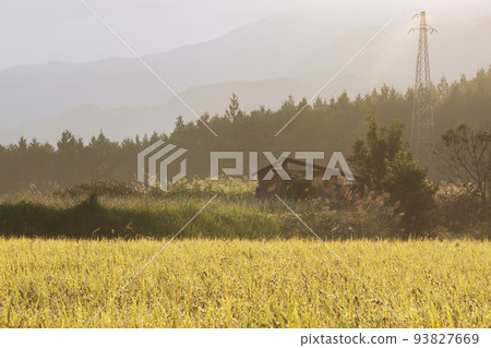 211002 Uenodaira g035 93827669