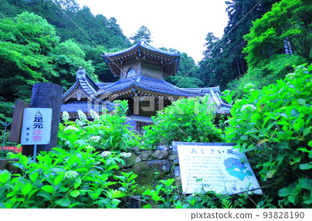 太平山繡球花坡上的六角堂/栃木縣栃木市 太平山繡球花坡上的六角堂/栃木縣栃木市 93828190