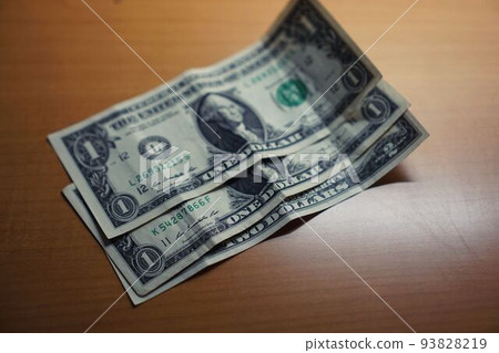 U.S. dollar U.S. dollar 93828219