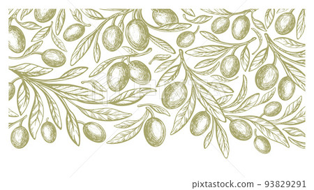 Green mediterranean olives, oil. Vector background 93829291