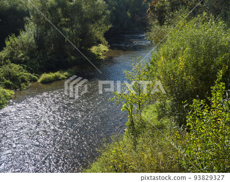 view on river Sazava near Cercany with lush green tree and bushes, central Bohemian region on summer sunny day, blue sky 93829327