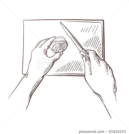 Human hand and knife, onion. Vintage engraving Human hand and knife, onion. Vintage engraving 93829335