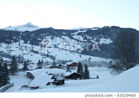 從瑞士格林德瓦看到的阿爾卑斯山 93829469