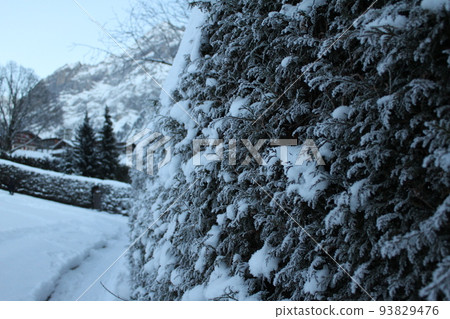 The streets of Grindelwald, Switzerland The streets of Grindelwald, Switzerland 93829476