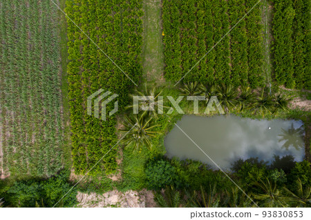 drone, aerial, field 93830853