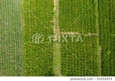 drone, aerial, field 93830854