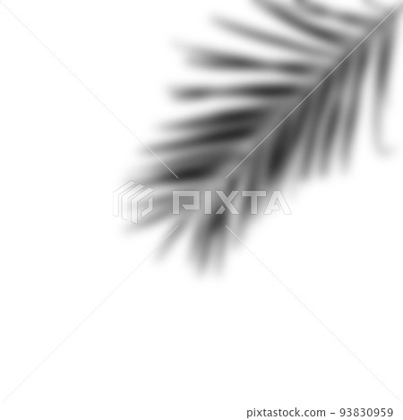 realistic shadow from a palm tree. black shadow from the leaves of the plant realistic shadow from a palm tree. black shadow from the leaves of the plant 93830959