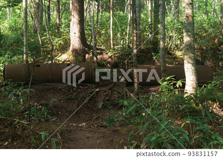remains of rusty industrial equipment among the forest remains of rusty industrial equipment among the forest 93831157