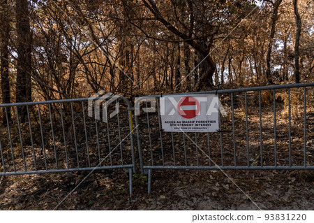 Entrance to the forest is prohibited due to fire danger. Drought in the forest. Warning sign in french forest.  93831220