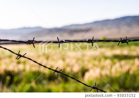 Close up of Barbed wire on the border 93833152