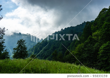 Caucasus mountain in georgian region Guria 93833159