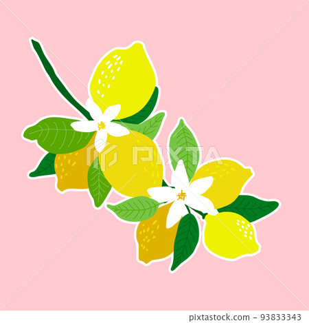 Lemon fruits and lemon flowers on the branch. Vector illustration great for labels, posters and 93833343
