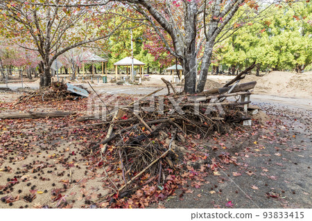 Photograph of damage in Wisemans Ferry Park Reserve after flooding in the Hawkesbury river in Australia Photograph of damage in Wisemans Ferry Park Reserve after flooding in the Hawkesbury river in Australia 93833415
