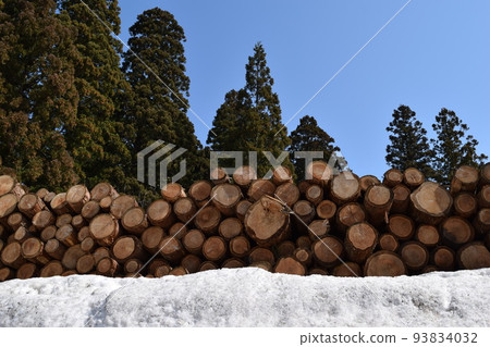 杉木原木降雪被剪掉 93834032