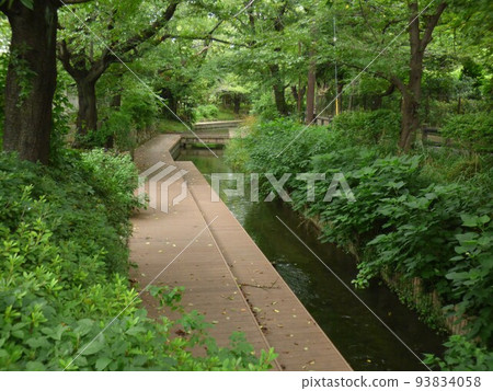 Nigaryo Canal Nikaryousui Kawasaki City Tama River is the source of the old artificial irrigation canal Total length about 32 kmRegistered by the government 93834058